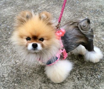 150718_10203340642637271_3648074923742810300_n