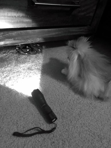 29196391_10209192032838369_7613846049665024915_n 2