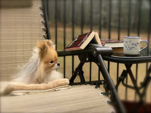 29542109_10209258781347040_10385856382250632_n - Version 2