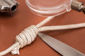 detective-1039883_1920