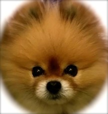 17022368_10206647640430149_3362843912546535609_n - Version 2