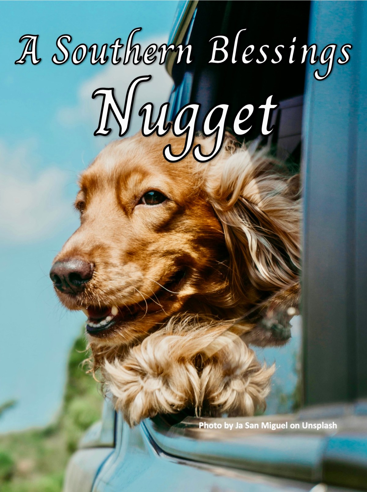 Time For A Little Joy&nbsp;…